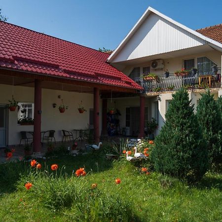 Denisa & Rares Hotel Ташнад Екстериор снимка
